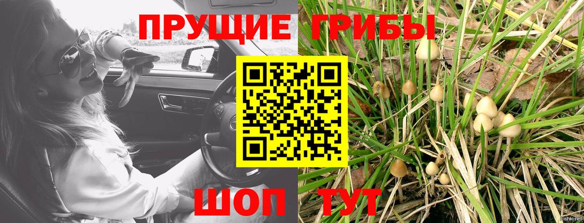 Галлюциногенные грибы мухоморы  Вход с VPN  купить наркоту  Галлюциногенные грибы Psilocybe  Дзержинский 