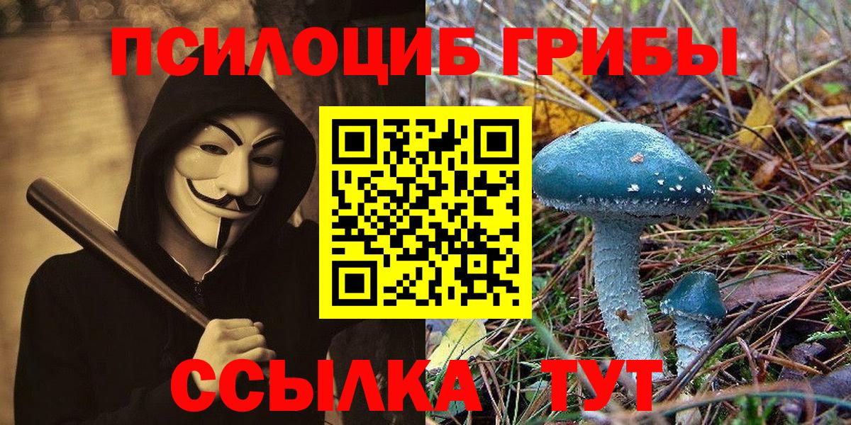 Галлюциногенные грибы Psilocybine cubensis Дзержинский
